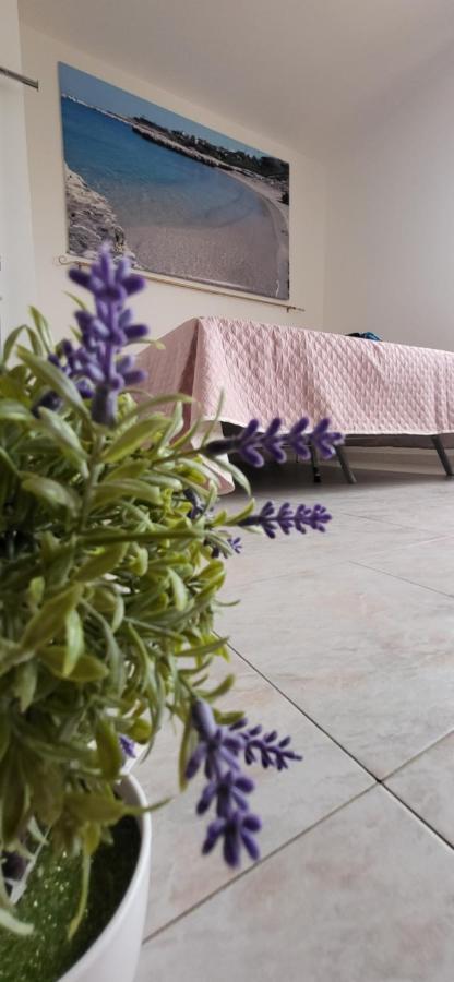 Bradisc'House Porto Torres Exterior foto